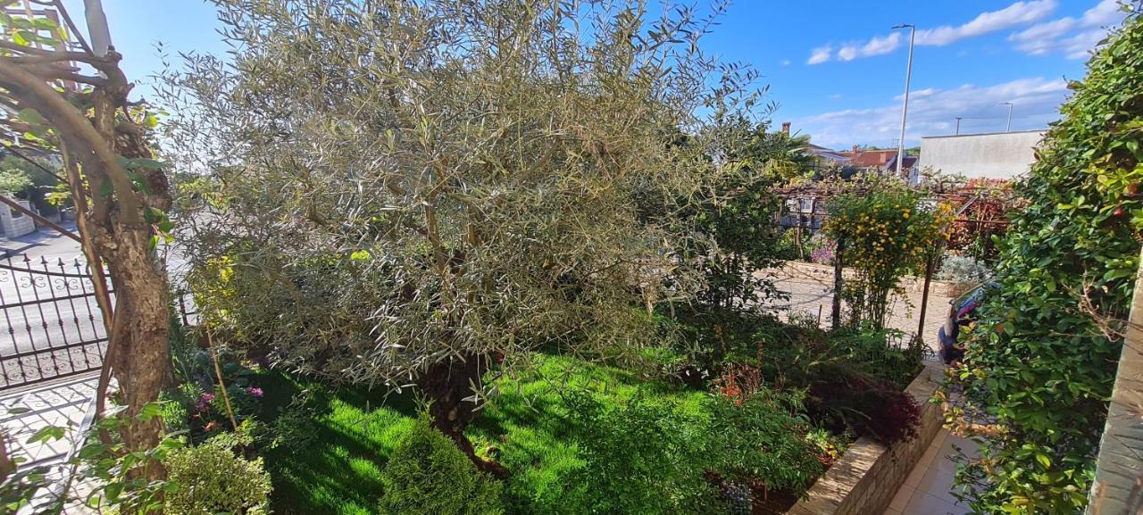 Boris Apartment Porec